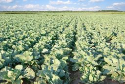 CONSEJO DE MINISTROS