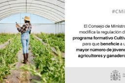 Hoy, en Consejo de Ministros 