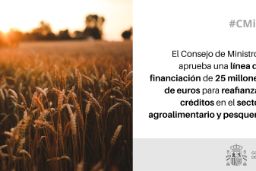 Hoy, en Consejo de Ministros 