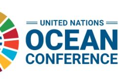 Mañana miércoles, 29 de junio, en Lisboa