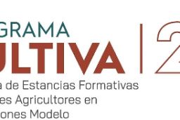 EL PLAZO, QUE EXPIRABA HOY, SE PROLONGA EN 7 DÍAS    