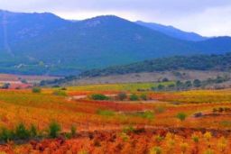 A TRAVÉS DEL PLAN DE FORMACIÓN 2022  