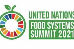 MAÑANA JUEVES, 3 DE JUNIO 