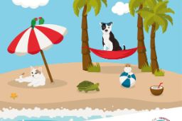 EN LA WEB DEL MINISTERIO DE AGRICULTURA, PESCA Y ALIMENTACIÓN