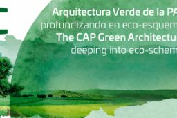 DEL 29 AL 31 DE MAYO EN ZAFRA (BADAJOZ) 