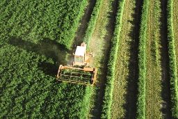 A través del Fondo Español de Garantía Agraria 