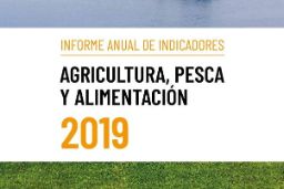 PUBLICADO EL INFORME ANUAL DE INDICADORES 2019 