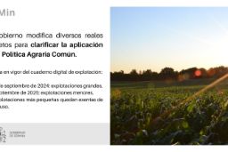 Hoy, en Consejo de Ministros  