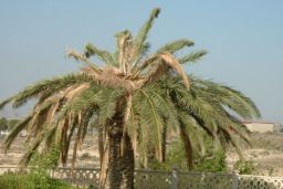 Hoy en el Consejo de Ministros 