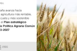 INFORME SOBRE EL PLAN ESTRATÉGICO DE LA POLÍTICA AGRARIA COMÚN EN ESPAÑA 2023-2027