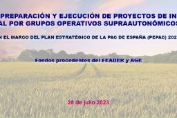 El próximo 28 de julio, a las 10.00 h 