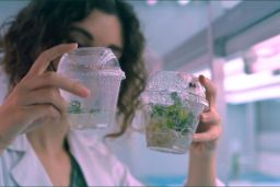 Proyecto pionero de asesoramiento con el Centro de Investigación en Agrigenómica 