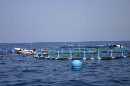 Datos disponibles en la página web del ministerio