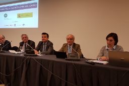 En colaboración con la Fundación Dieta Mediterránea 