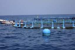 EN MÁLAGA, CON EL APOYO DEL MINISTERIO DE AGRICULTURA, PESCA Y ALIMENTACIÓN  