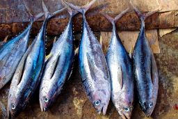 MEDIANTE UNA ORDEN MINISTERIAL PUBLICADA HOY EN EL BOE  