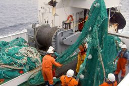 Hoy, en el Consejo de Ministros 