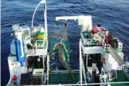 Hasta el próximo 26 de abril  