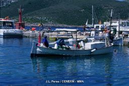 Ayudas recogidas en el Real Decreto-Ley de medidas urgentes por la guerra en Ucrania