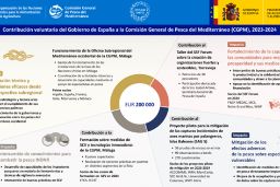 En Málaga, la primera semana del mes de noviembre