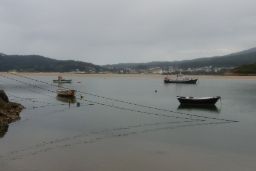 EN LA REUNIÓN CELEBRADA HOY POR VIDEOCONFERENCIA CON LAS CCAA Y EL SECTOR PESQUERO DE ARRASTRE DEL MEDITERRÁNEO 