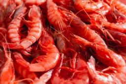 Mediante orden ministerial publicada hoy en el BOE