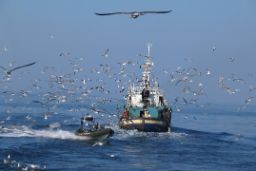Mediante orden publicada ayer en el BOE