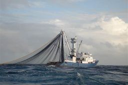 Hoy, en el Consejo de Ministros