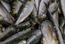 Mediante resoluciones publicadas hoy en  BOE