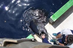 Mediante resoluciones publicadas en el Boletín Oficial del Estado
