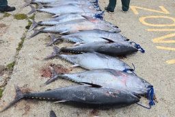 En el marco de la lucha contra la pesca ilegal 