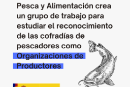 En una reunión mantenida ayer con el sector en la Secretaría General de Pesca