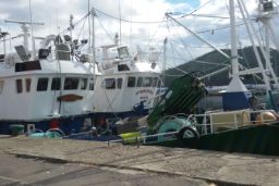 Hoy, por videoconferencia