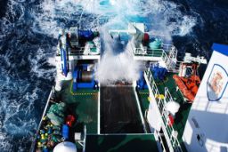 Bajo la dirección científica del Instituto Español de Oceanografía