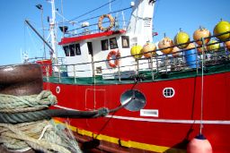 Mediante resoluciones publicadas hoy en el BOE