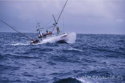 Desde la 00.00 horas de hoy