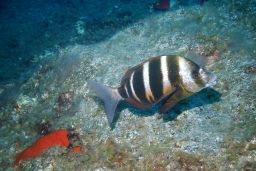 A partir de hoy, en la página web del ministerio