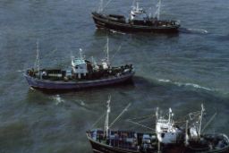 Aprobado hoy, en el Consejo de Ministros