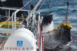 Tras años de inactividad, ha entrado en vigor este mes de julio