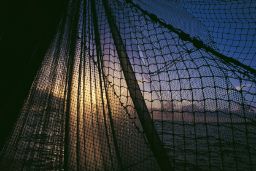 Mediante resolución publicada hoy en BOE