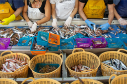 Campaña oceanográfica