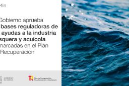 Hoy, en el Consejo de Ministros