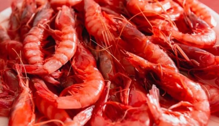 Mediante orden ministerial publicada hoy en el BOE