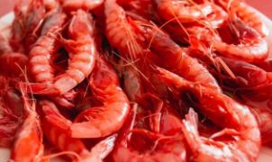 Mediante resolución publicada hoy en el BOE