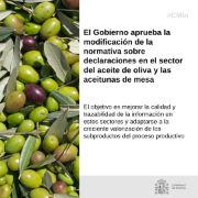 Hoy, en Consejo de Ministros