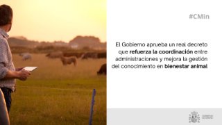 Hoy, en Consejo de Ministros