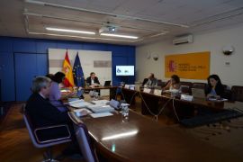 Hoy, en sesión celebrada por videoconferencia