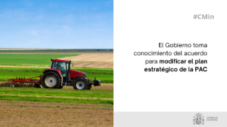 Hoy, en Consejo de Ministros