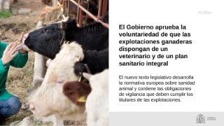 Hoy, en Consejo de Ministros