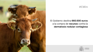 Por acuerdo adoptado hoy, en el Consejo de Ministros